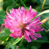 0510F 14 PB-Guetersloh